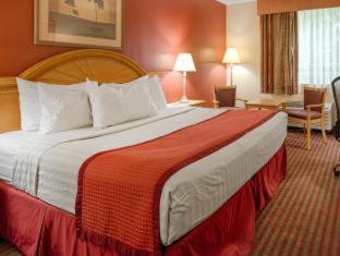 Best Western Center Inn Virginia Beach Zimmer foto